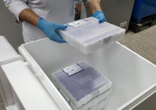 Dosis de refuerzo contra la Covid-19 llegan a Chiriquí
