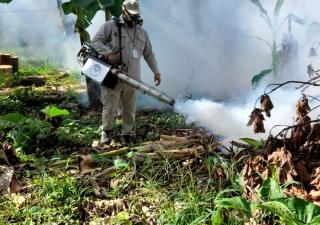 Malaria es un riesgo latente en Chiriquí, aunque no hay casos autóctonos