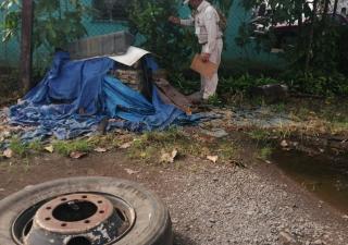 Baja infestación de Aedes aegypty en Chiriquí