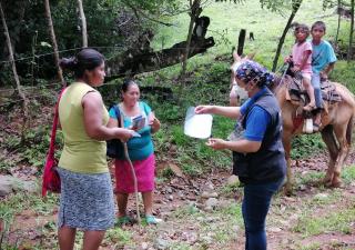 Regional orienta constantemente a chiricanos