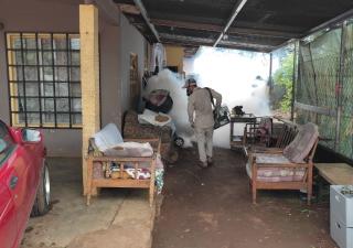 En Chiriquí aumentan a 439 los casos de Dengue