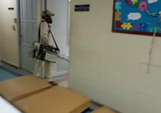 Reducen infestación de aedes aegypty en Barú
