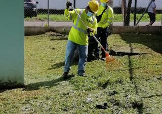 En San Lorenzo realizan el día D