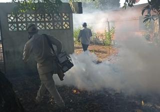 Minsa lucha contra incremento en infestación de Aedes Aegypty