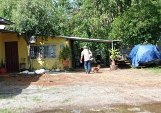 3.3% de hogares chiricanos tienen criaderos de Aedes Aegypty