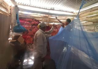 Minsa Chiriquí se mantiene vigilante y en alerta por casos de Malaria en Barú