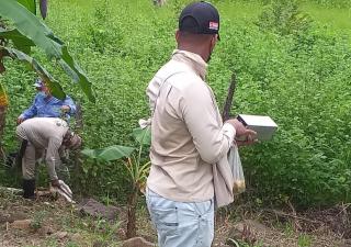 En Coclé eliminan roedores para evitar hantavirus