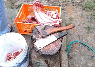 Minsa en Coclé decomisa carne clandestina