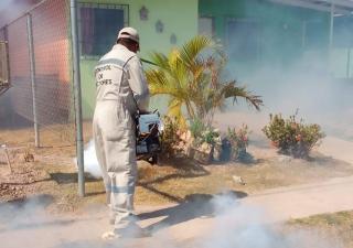 Coclé registra 23 casos de Dengue