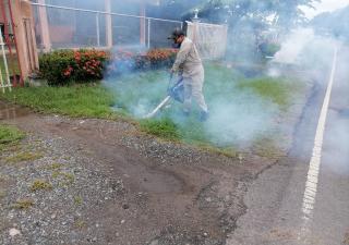 Coclé no baja la guardia contra el Dengue