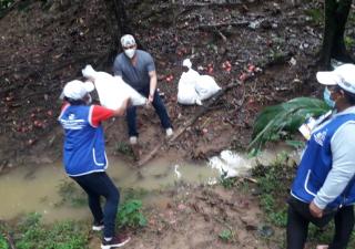 Coclé realiza trazabilidad en La Pintada