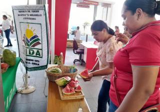 Coclé conmemora día de las frutas