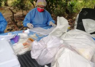 Equipo de Salud de La Pintada continúa realizando hisopados