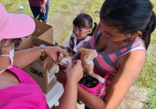 Atienden a mascotas en la barriada Guna Yala en Cativá, Colón