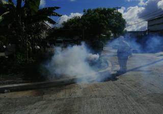 Hacen llamado a colonenses para eliminar criaderos de mosquitos