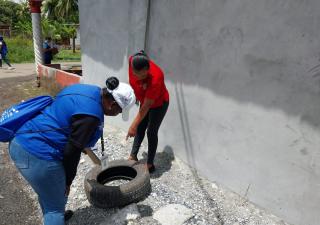 Intensifican estrategias contra el dengue en Colón