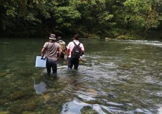 Medidas de trazabilidad se realizan en la Comarca Ngäbe