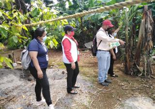 Intensifican operativos para detectar criaderos de mosquitos Aedes Aegypti