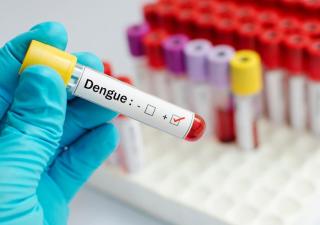 Panamá disminuye casos, hospitalizaciones y defunciones  por dengue en lo que va del 2025