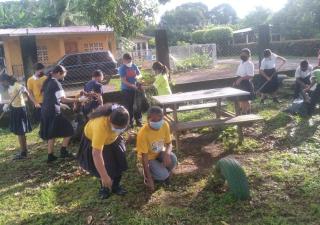 Escuelas en Chiriquí siguen contribuyendo a la lucha contra el dengue