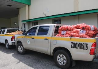 Durante operativo decomisan cebollas en Veraguas