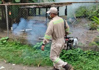 Prevención y eliminar los criaderos de mosquitos: es clave para disminuir enfermedades como dengue y malaria