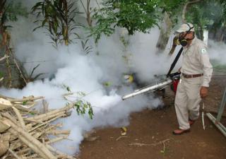 MINSA maneja niveles aceptables de dengue en el país