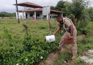 Reiteran medidas preventivas para evitar criaderos de mosquitos en las viviendas y alrededores