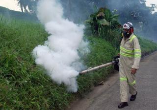 Sin Criadero no hay Dengue