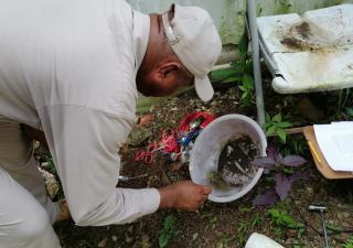 Eliminar criaderos y mantener áreas limpias: son la clave para contrarrestar enfermedades como dengue y malaria