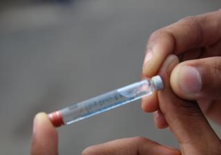Autoridades de Salud reiteran eliminar criaderos para contrarrestar enfermedades