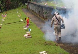 Minsa mantiene férrea vigilancia de casos de dengue y malaria