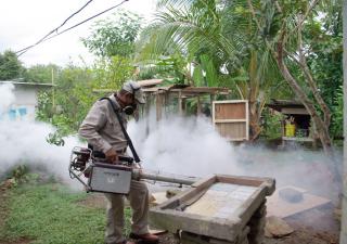 Población debe unir esfuerzos para eliminar el dengue: MINSA