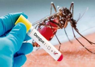 Pocos casos de dengue en corregimientos de la capital 