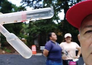 MINSA lidera acciones para combatir dengue a nivel nacional