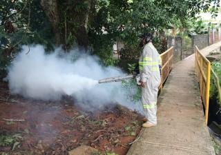 MINSA confirma mil 220 casos de dengue a nivel nacional