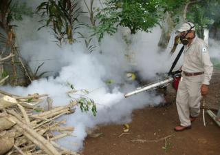 Minsa reitera llamado a la población para evitar más casos de dengue  