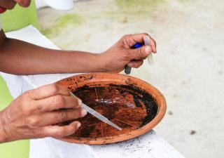 Participación ciudadana es clave para combatir el dengue