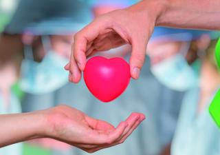 Donación de órganos, una campaña permanente del Ministerio de Salud