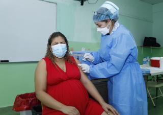 Reporte de embarazadas con COVID-19