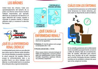 Enfermedad Cronica