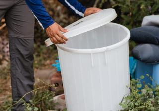 Minsa reitera participación de la comunidad en la eliminación de criaderos de mosquitos