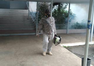 Con eliminar los criaderos disminuyen los casos por dengue, reitera Salud