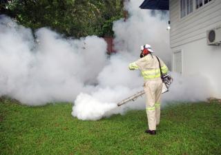 Eliminando criaderos, evitamos el dengue