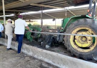 Continúa vigilancia contra el hantavirus en Herrera