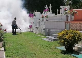 Nebulizan cementerios en Herrera