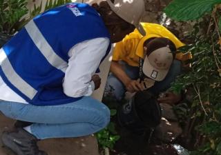 Intensifican acciones contra el Dengue en Herrera