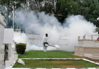  Vectores inspecciona cementerios de la provincia de Herrera 