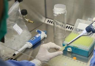 Minsa redobla estrategias para mitigar impacto del virus Oropouche en Darién