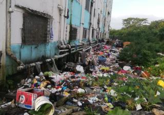 MINSA realiza en operativo contra el Dengue en Curundú